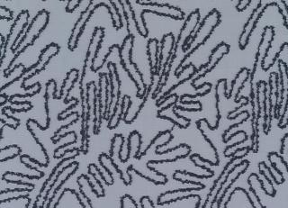 Фото - Ткани Sahco Corallium - 558608>