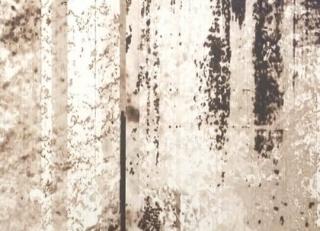 Фото - Обои Print4 Creazioni - 560140>