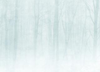 Фото - Обои Sandberg Special Edition - 326962>