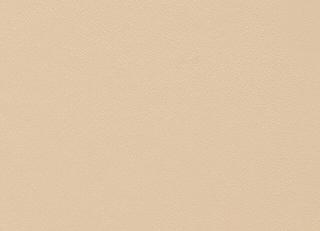 Фото - Ткани Lelievre Contract 18 - 300097>