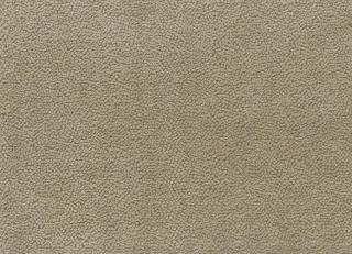 Фото - Ткани Nina Campbell Brodie Weaves - 258793>