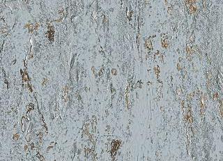 Фото - Обои Omexco Antares - 401473>