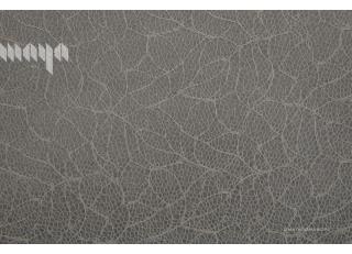 Фото - Обои Maya Romanoff Unveil - 395058>