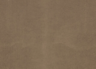 Фото - Ткани Kirkby design Hide Vegan Leathers - 631383>