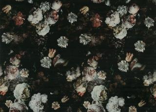 Фото - Ткани Osborne & Little Palazzo Fabrics - 369589>