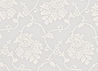 Фото - Ткани Ralph Lauren White book - 281162>