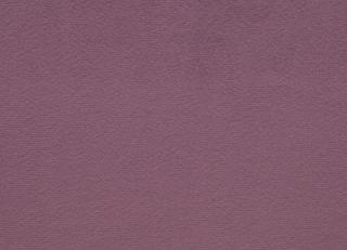 Фото - Ткани Lelievre Essentiel - 381496>