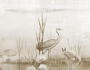 Фото - Обои Khroma Helium - 424549>