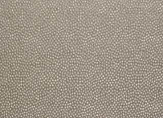 Фото - Ткани James Hare Shagreen Silk 1&2 - 464263>