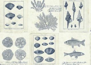 Фото - Обои KT Exclusive Destination - 434272>