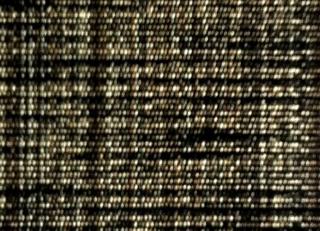 Фото - Ткани William Yeoward Library - 289613>