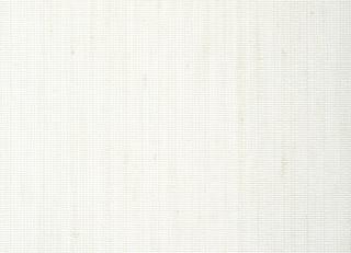 Фото - Обои Thibaut Grasscloth Resource 5 - 523903>