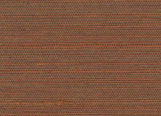 Фото - Обои Elitis Tribus - 621581>