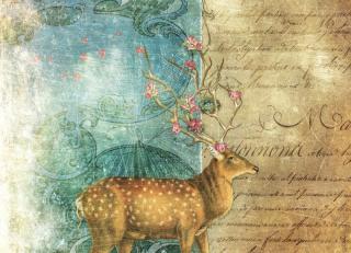 Фото - Обои Ortograf Эми Стюарт - 479979>