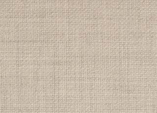 Фото - Ткани Dedar Zeus R - 551470>