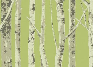 Фото - Фисташковые бумажные обои на стену - 344984>