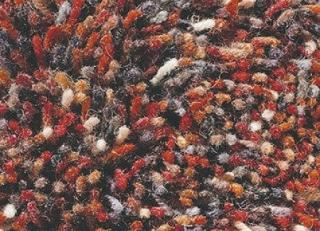 Фото - Ковры Brink & Campman High Pile - 322604>