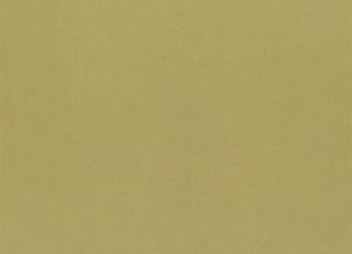 Фото - Ткани Designers Guild Aquarelle Fr Voile - 261223>