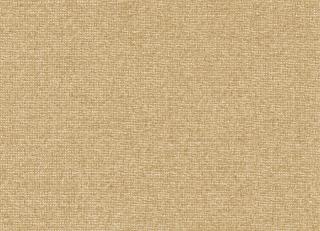 Фото - Обои Coordonne Raffias - 580887>