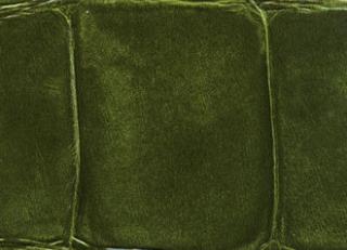 Фото - Обои Elitis Anguille - 257748>