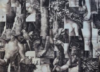 Фото - Ткани Thevenon Designs Classic - 342337>