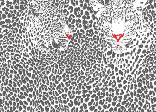 Фото - Обои Ango Linea Animal - 330731>