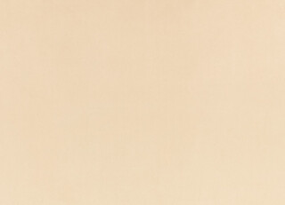 Фото - Ткани Zinc Z Suede - 628826>