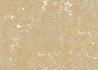 Фото - Обои Tres Tintas Wall A Porter - 198193>