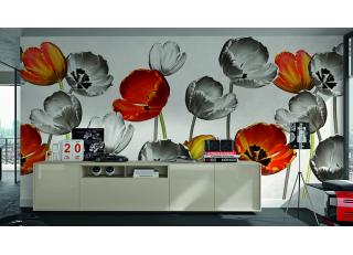 Фото - Обои Glamora Essence - 225519>