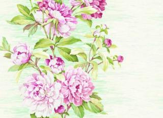 Фото - Обои Seabrook Garden Rose - 356630>