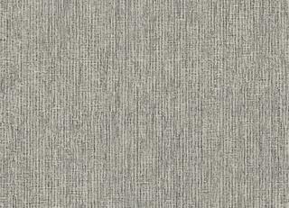 Фото - Обои Faboie Monkey World - 621028>