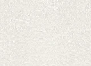 Фото - Ткани Designers Guild Kalahari - 261416>