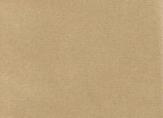 Фото - Ткани Marvic Textiles Safari III - 408753>