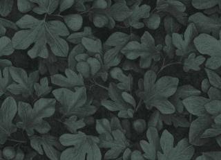 Фото - Обои Khroma Kent - 458873>