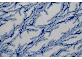 Фото - Ковры на пол Pinton - 493925>