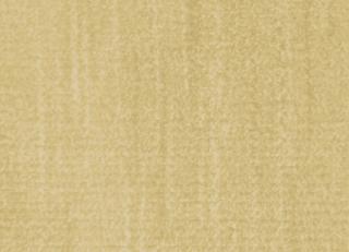 Фото - Ткани Foresti Home Collection Velluto Supreme - 563628>