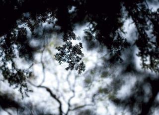 Фото - Обои Mr Perswall Photo - 235218>