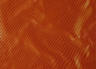 Фото - Ткани Alessandro Bini Iride - 568248>