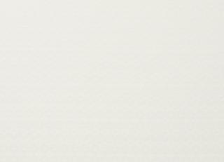 Фото - Ткани Clarke&Clarke Zanzibar - 405028>