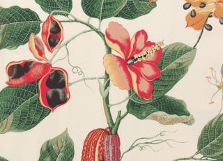 Фото - Ткани Boussac Faune & Flore - 263065>