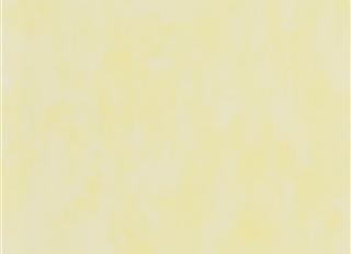 Фото - Обои Designers Guild Parchment - 364335>