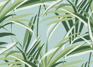 Фото - Обои York Wallcoverings Tropics - 548846>