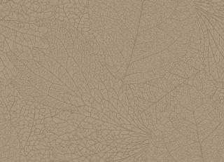 Фото - Обои Eijffinger Embrace - 579768>