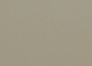 Фото - Ткани Faboie Plain VIII - 584158>