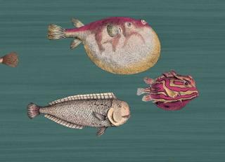 Фото - Обои Cole & Son Fornasetti - 496179>