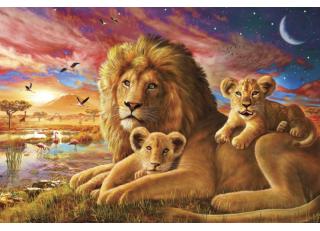 Фото - Обои Ortograf Адриан Честерман - 478286>