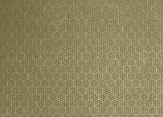 Фото - Обои Vatos Courtesan - 243123>