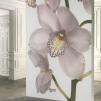 Обои для стен Millennio Isowall Flowers Flower 90028 