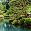 Обои для стен Photowall Пейзажи calm-zen-lake-and-bonzai-trees-in-tokyo-garden 