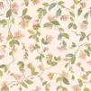 Обои для стен  Cole & Son Selection of Hummingbirds 124-3016 